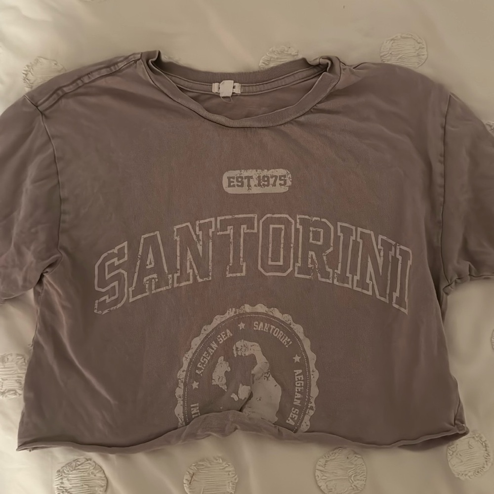 garage brown cropped tee